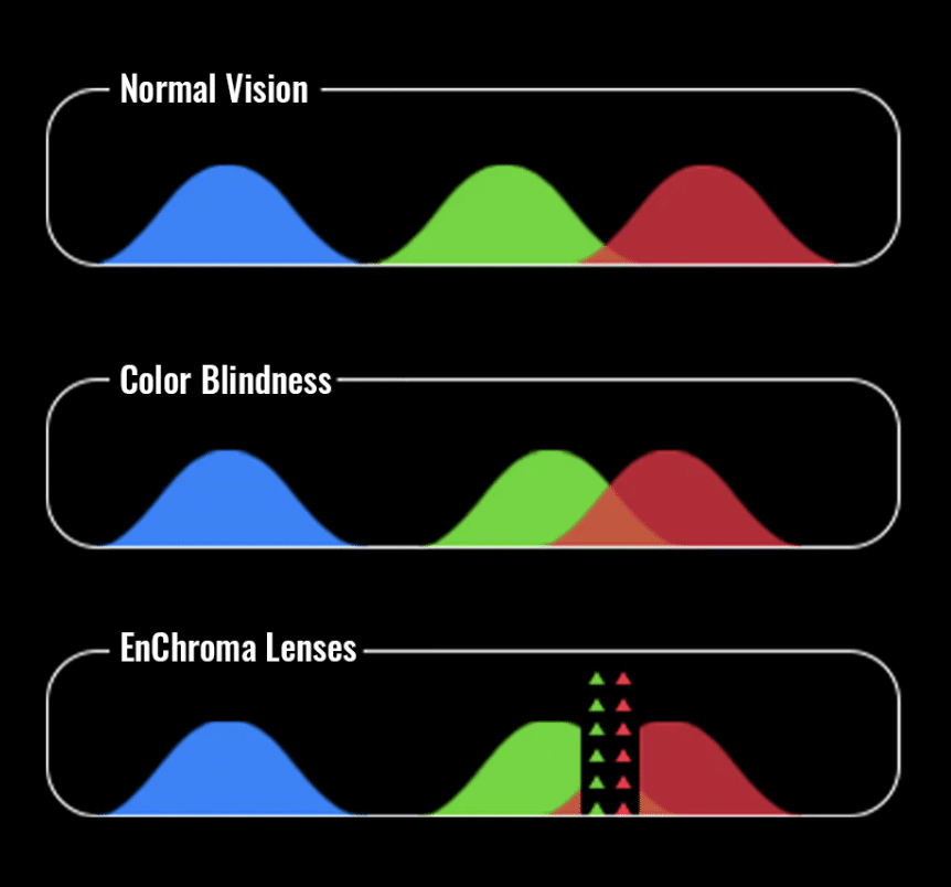 A graphic showing where various color peaks are for normal vision and color blind vision.